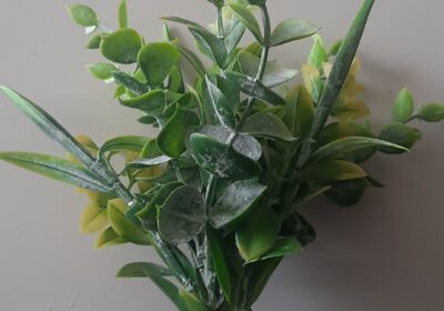 Necesito 50 ramilletes de esta planta artificial o la más parecida