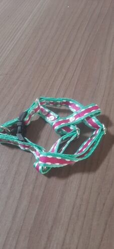 Necesito collares para perros motivos varios