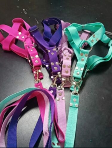 Necesito collares para perros motivos varios